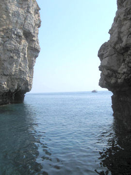 A View from the Glass Bottom Boat Trip by Fiona Lake